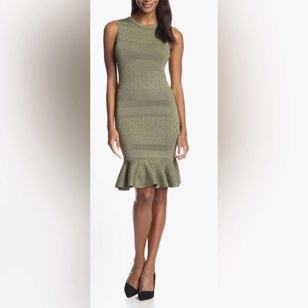 NWT Ronny Kobo Portia Ruffle Dress